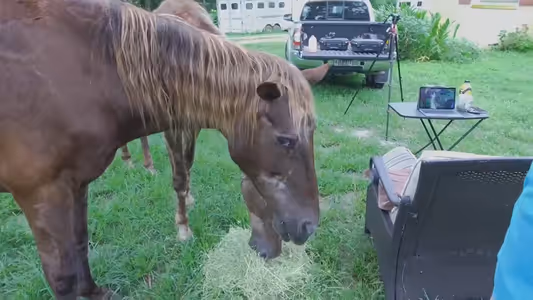 Farm Tour and Q&A video thumbnail