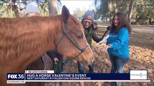 Hug a Horse on Fox 35 video thumbnail