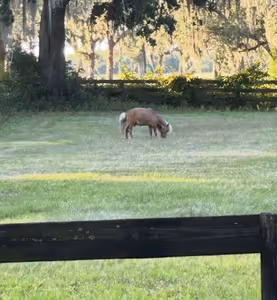 News preview image