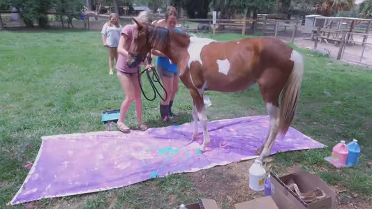 Painting with Lyric video thumbnail